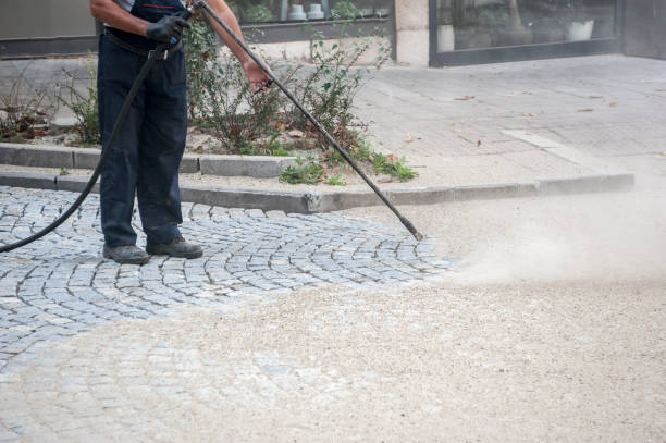 Best Animal Enclosure Cleaning  in Itasca, TX